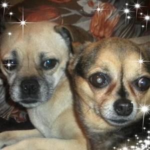 Meet your Posher, Rosalia